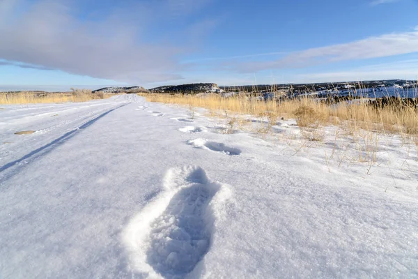 Huellas en nieve blanca fresca que cubre el camino durante la fría temporada de invierno — Foto de Stock