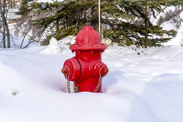 Vibrante idrante idrante rosso contro la neve fresca durante l'inverno a Park City Utah — Foto Stock