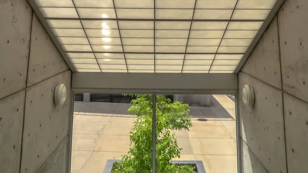 Panorama frame Slanted frosted glass roof over glass wall with view of trees and sunny outdoor