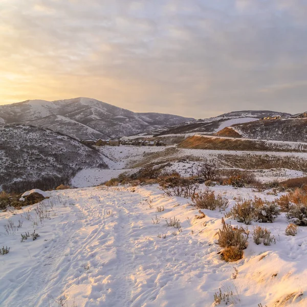 Пейзаж холма покрыт снегом и освещен солнечным светом на закате — стоковое фото