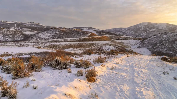 Panorama Hill paisagem coberta de neve e iluminada pela luz solar ao pôr do sol — Fotografia de Stock