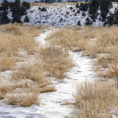 Kare Kar, çimenli arazide kar manzaralı tepe manzaralı yolları kapladı.