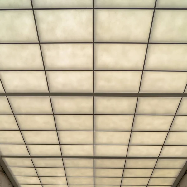 Square Slanted frosted glass roof over glass wall with view of trees and sunny outdoor