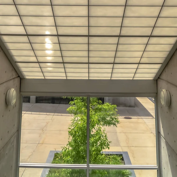 Square frame Slanted frosted glass roof over glass wall with view of trees and sunny outdoor