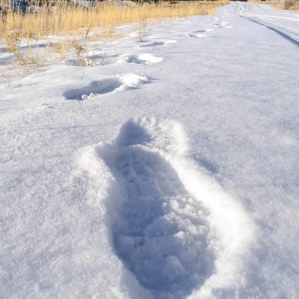 Quadrato Impronte su neve fresca e bianca che ricopre la strada durante la fredda stagione invernale — Foto Stock
