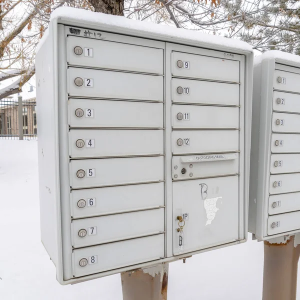 冬季，方格信箱与覆盖着新鲜白雪的邻里景观相抗衡 — 图库照片