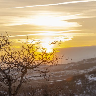 Fotoğraf Meydanı çerçeveli karlı zeminde yapraksız ağaçlar bulutlu gökyüzüne ve gün batımında altın güneşe karşı