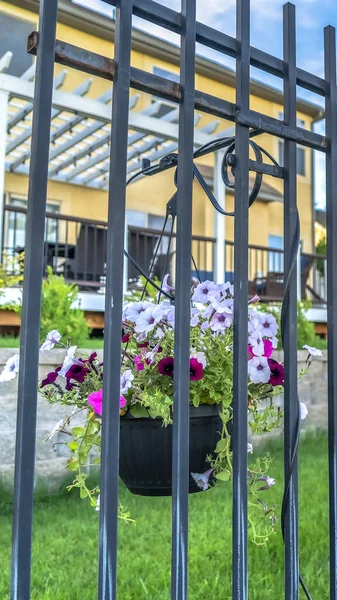 Vertical frame Black metal fence with potted colorful flowers against blurry homes and blue sky — Stock Photo, Image