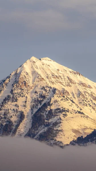Foto Marco vertical Majestuoso pico del Monte Timpanogos con manta de nieve en un frío día de invierno —  Fotos de Stock