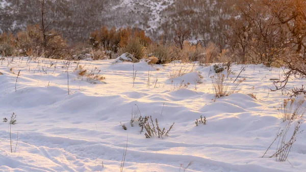 Panorama Terreno con gruesa capa de nieve blanca fresca iluminada por el sol dorado al atardecer — Foto de Stock