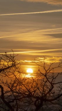 Dikey çerçeve yapraksız dallarla altın güneşe karşı ve gün batımında bulutlu gökyüzüne karşı
