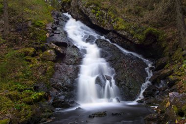 Orman sütlü şelale