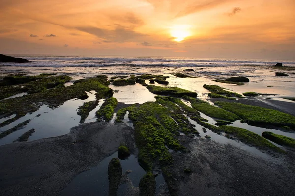 Solnedgång på stranden nära Tanah Lot Tempel — Stockfoto