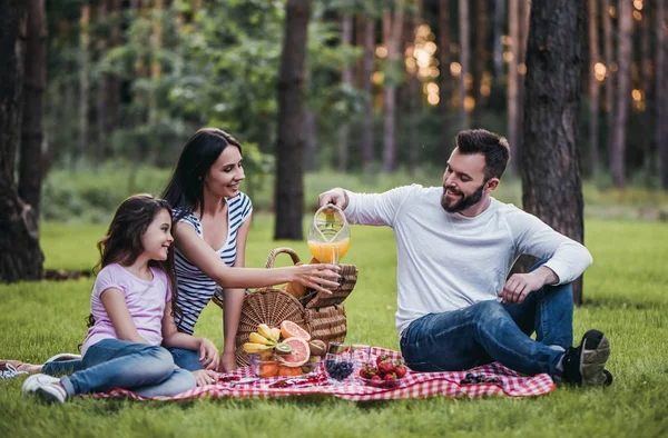 Familie op picknick — Stockfoto