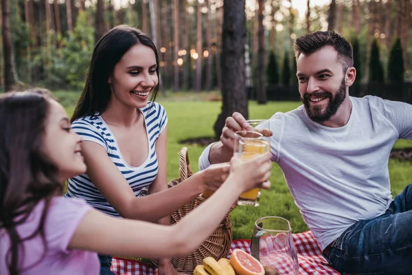 Familie op picknick — Stockfoto