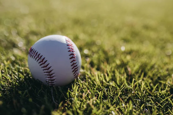 Baseball bollen ligger på grönt gräs — Stockfoto