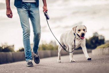 Köpekli adam.