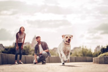 Köpekle yürüyüşe Çift
