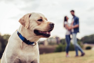 Köpekli çift