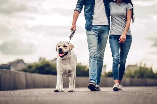 Casal em uma caminhada com o cão — Fotografia de Stock