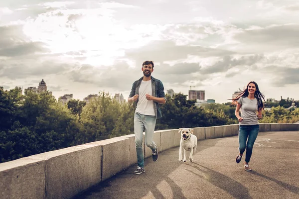 Köpekle yürüyüşe Çift — Stok fotoğraf