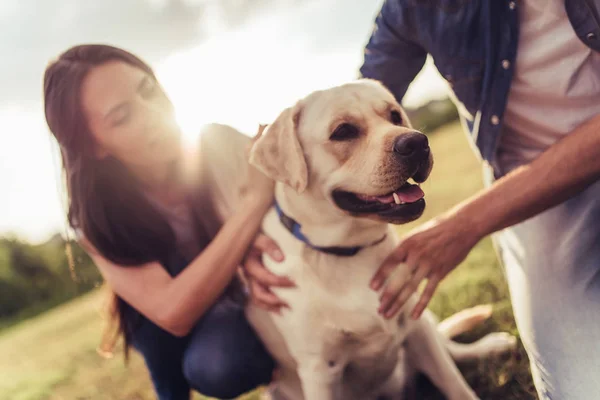 Casal com cão — Fotografia de Stock