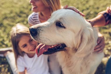 Köpekli mutlu aile