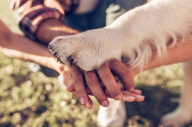 Köpekli mutlu aile