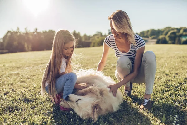 Gelukkig gezin met hond — Stockfoto