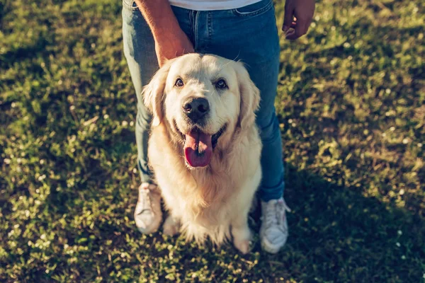 Man met hond — Stockfoto