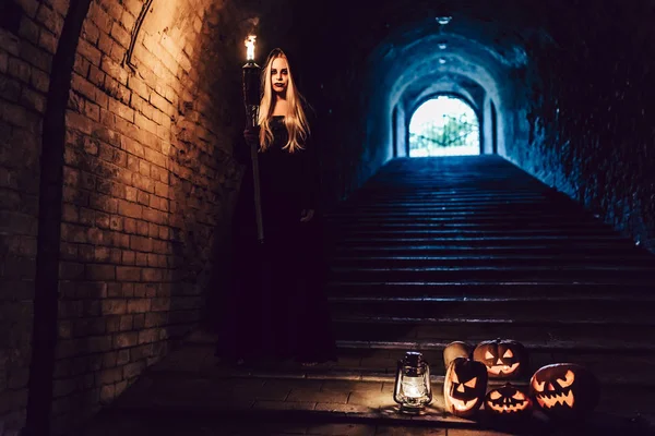 Strega nera di Halloween — Foto Stock