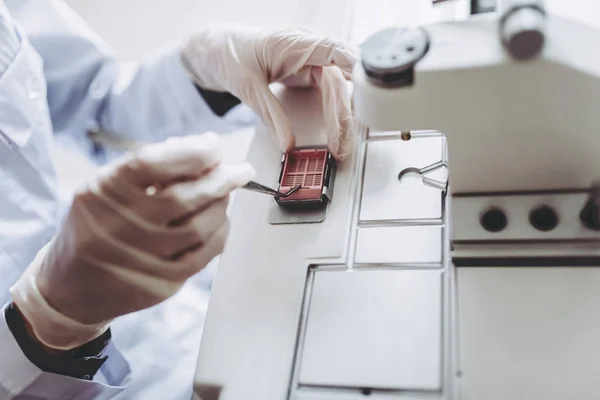 Laboratorio científico trabajando — Foto de Stock