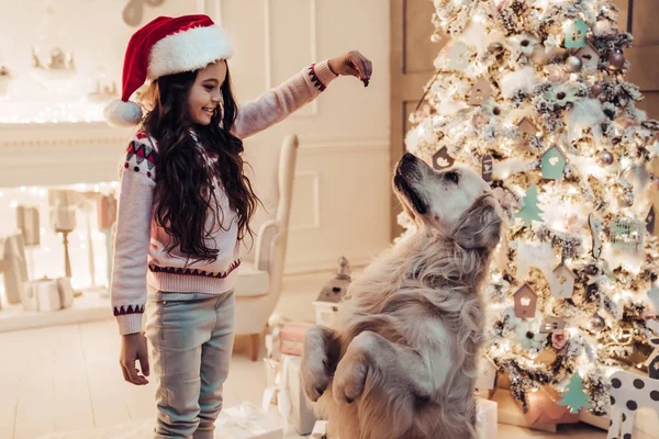 Девушка с собакой в канун Нового года — стоковое фото