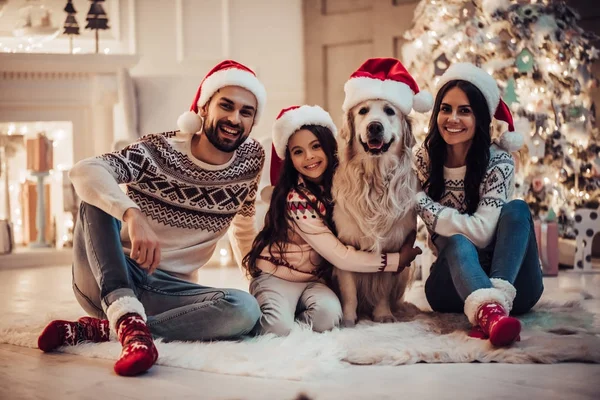 Familj med hund på nyårsafton — Stockfoto