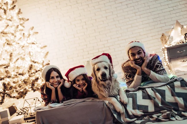 Семья с собакой в канун Нового года — стоковое фото