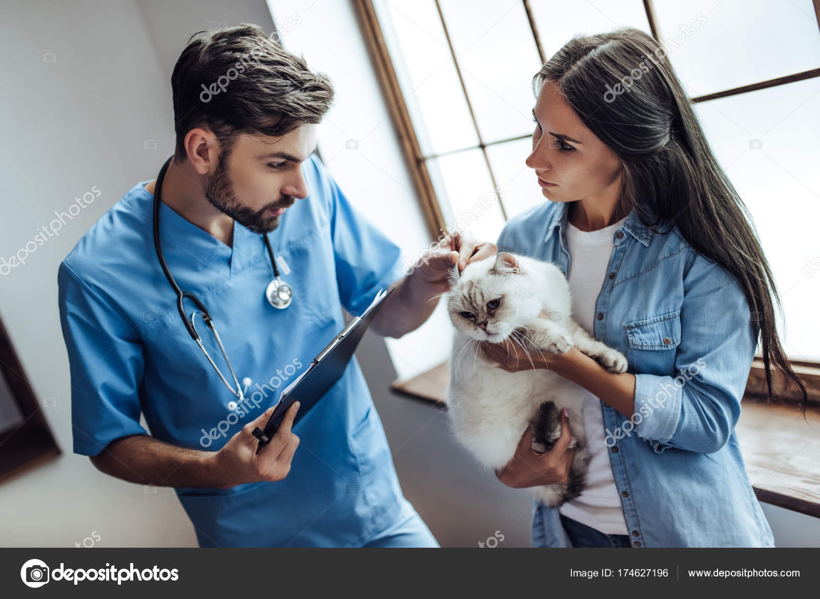 Doctor veterinarian at clinic Stock Photo by ©4pmphoto@ 174627196 Doctor veterinarian at clinic Stock Photo by ©4pmphoto@ 174627196