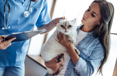 Doktor veteriner Kliniği