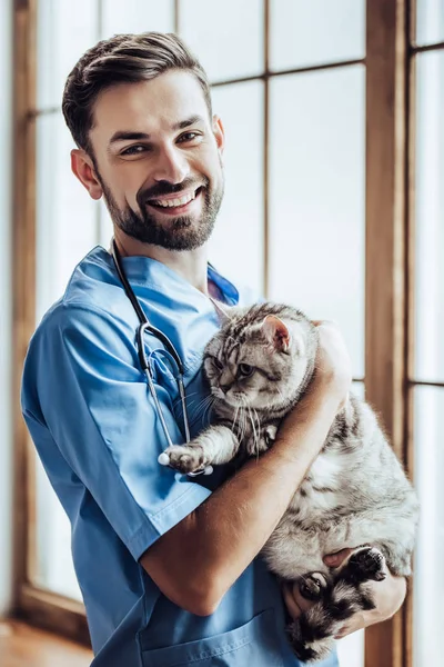 Médecin vétérinaire à la clinique — Photo
