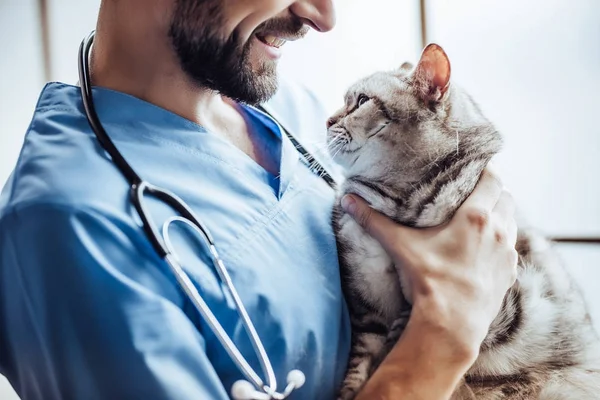 Medico veterinario presso la clinica — Foto Stock