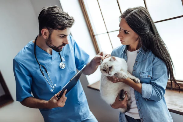 Médico veterinario en la clínica —  Fotos de Stock