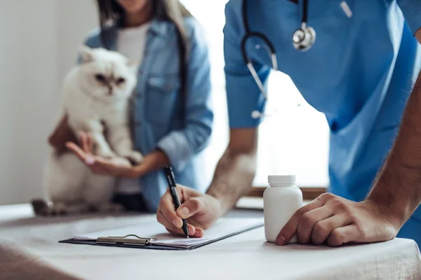 Läkare veterinär vid kliniken — Stockfoto