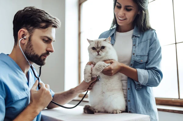 Arzt Tierarzt in der Klinik — Stockfoto