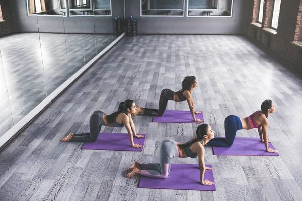 Grupo de treinamento de ioga — Fotografia de Stock