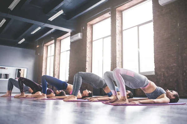 Formación de yoga en grupo — Foto de Stock