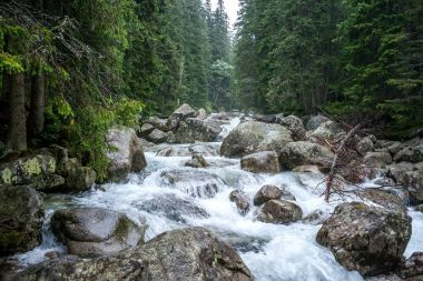 Yüksek Tatras dağ dere