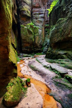 Adrszpach kayalık gorge