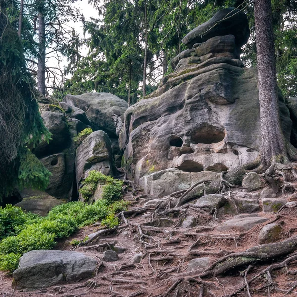 Adrszpach - Teplice rocks korkunç kaya — Stok fotoğraf
