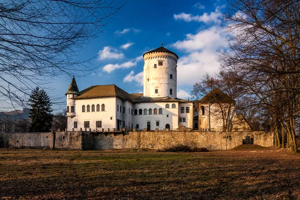 Średniowieczny zamek Budatin — Zdjęcie stockowe