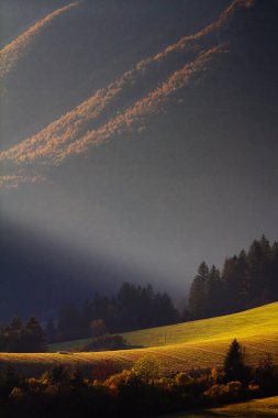 Gün batımında dağlarda Meadows.