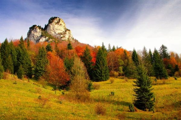 Skał i drzew w kolorach jesieni. — Zdjęcie stockowe
